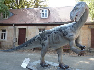 Plateosaurus, Foto: Heineanum